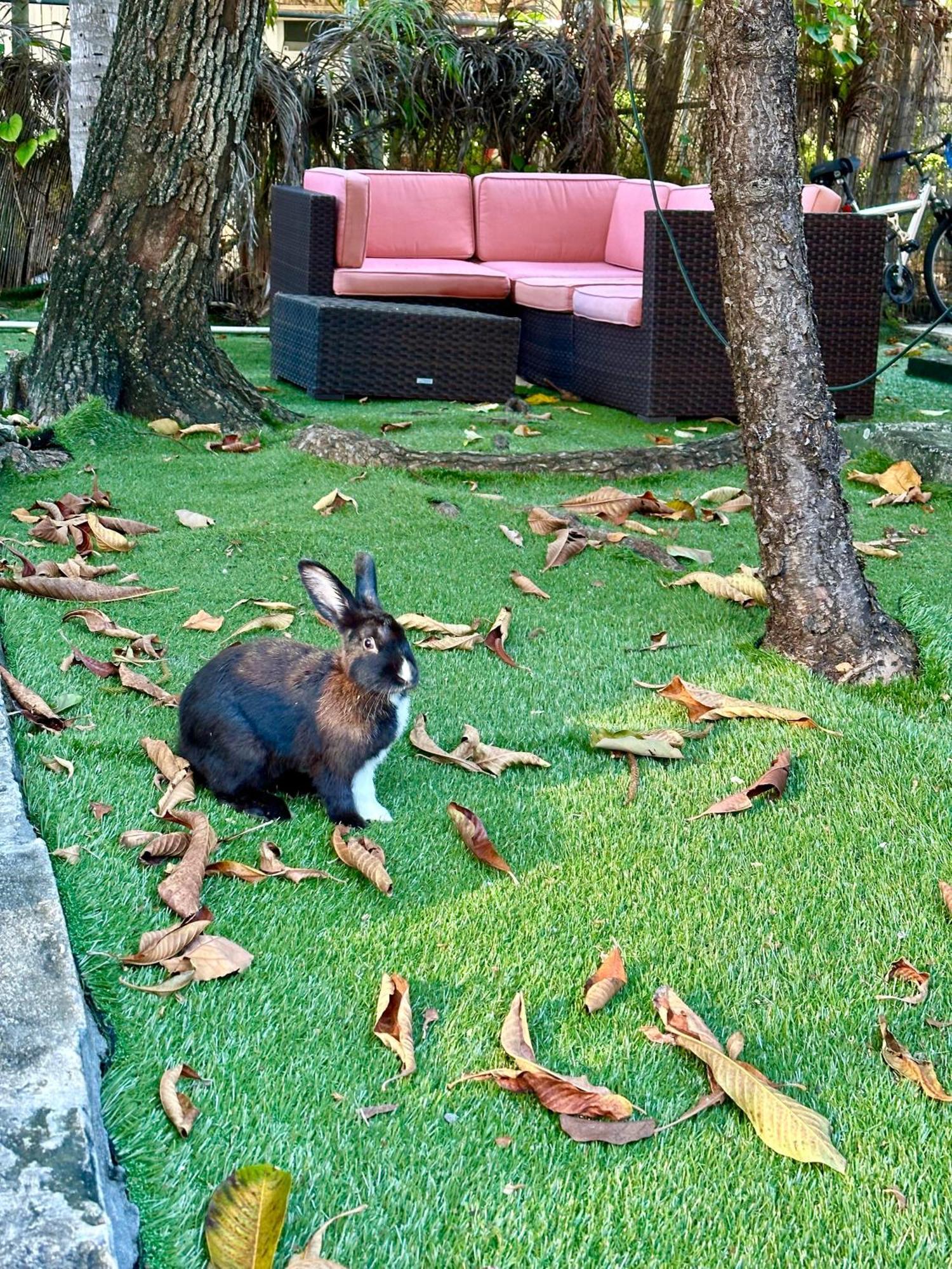Miami House Hotel Luaran gambar